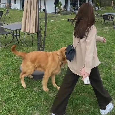 爱你的米拉在线观看