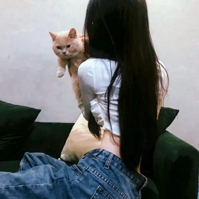 花篮花儿香在线观看