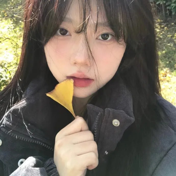 狐狸的故事在线观看